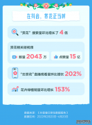 为宅家注入治愈感+安全感：“花样