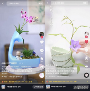 哪里都能开出花来，抖音电商让你